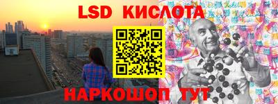 прущие грибы Усть-Илимск
