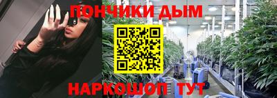 прущие грибы Усть-Илимск