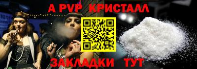 прущие грибы Усть-Илимск