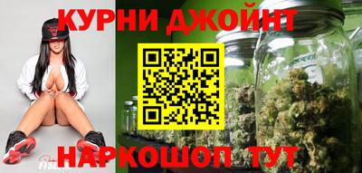 прущие грибы Усть-Илимск