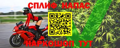 прущие грибы Усть-Илимск