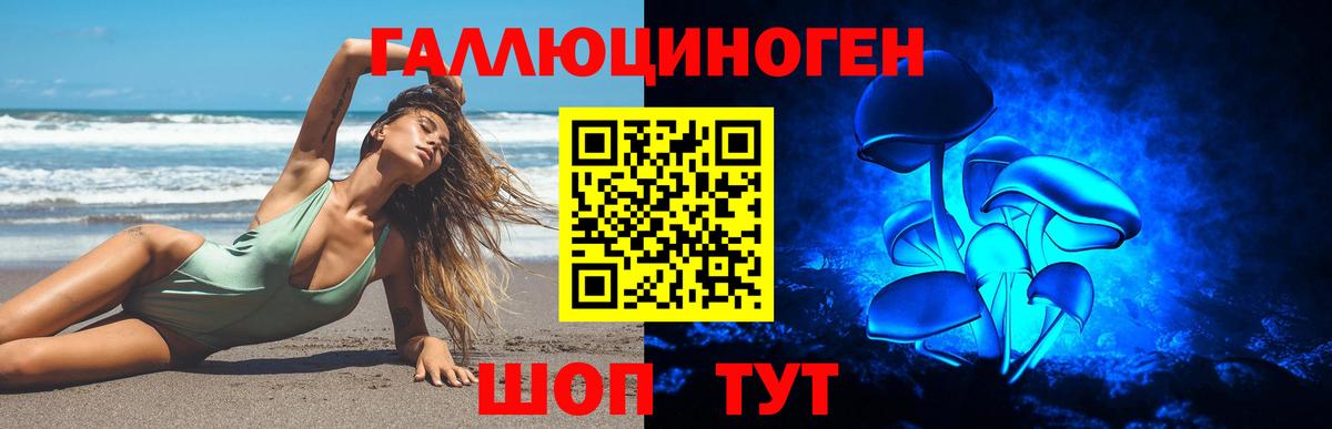 Псилоцибиновые грибы GOLDEN TEACHER  Вход с VPN  Галлюциногенные грибы мухоморы  Кинель 